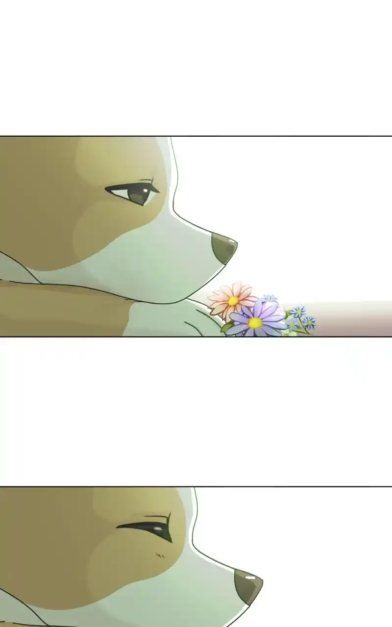 I Gave Birth to a Dog Chapter 89