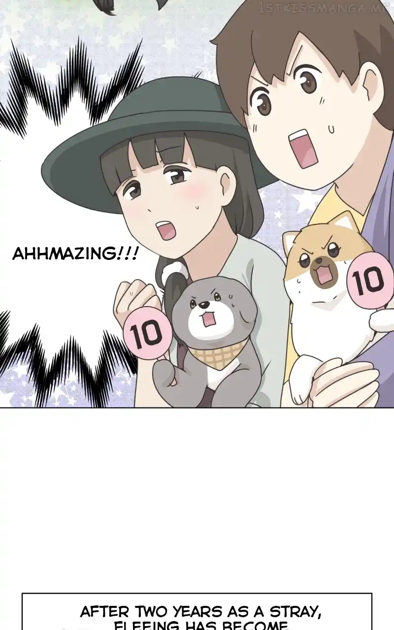 I Gave Birth to a Dog Chapter 90