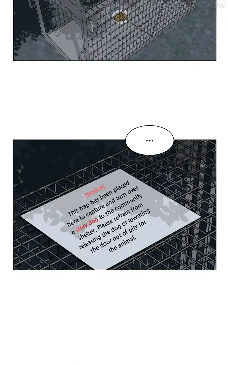 I Gave Birth to a Dog Chapter 90