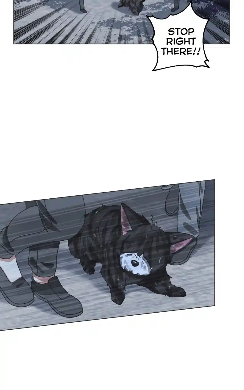 I Gave Birth to a Dog Chapter 91