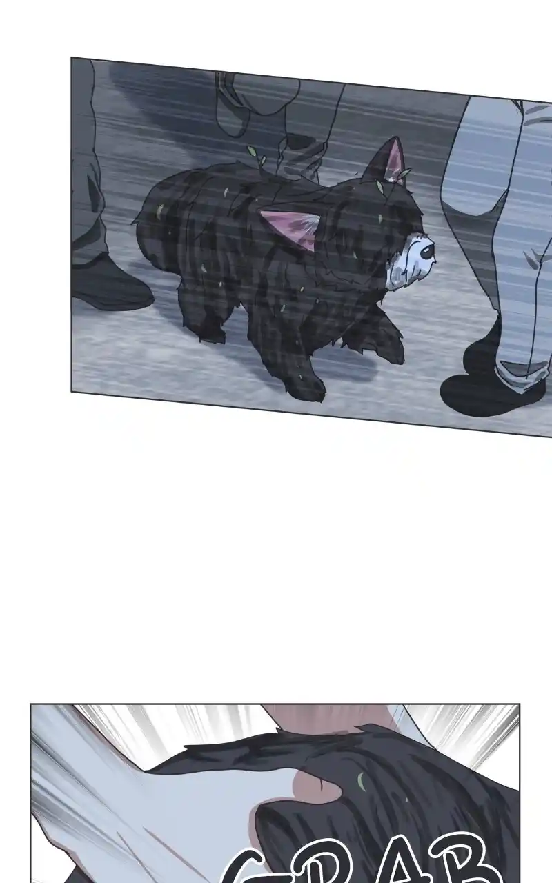 I Gave Birth to a Dog Chapter 91