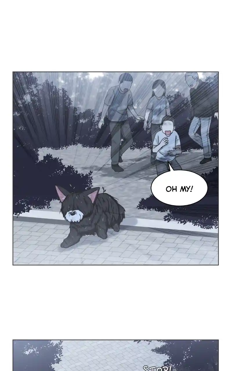 I Gave Birth to a Dog Chapter 91