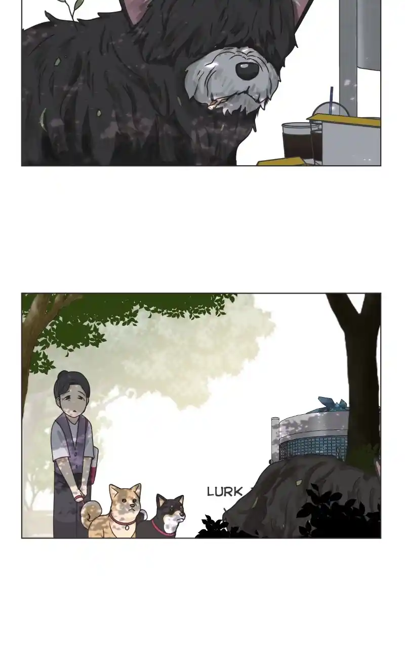 I Gave Birth to a Dog Chapter 91