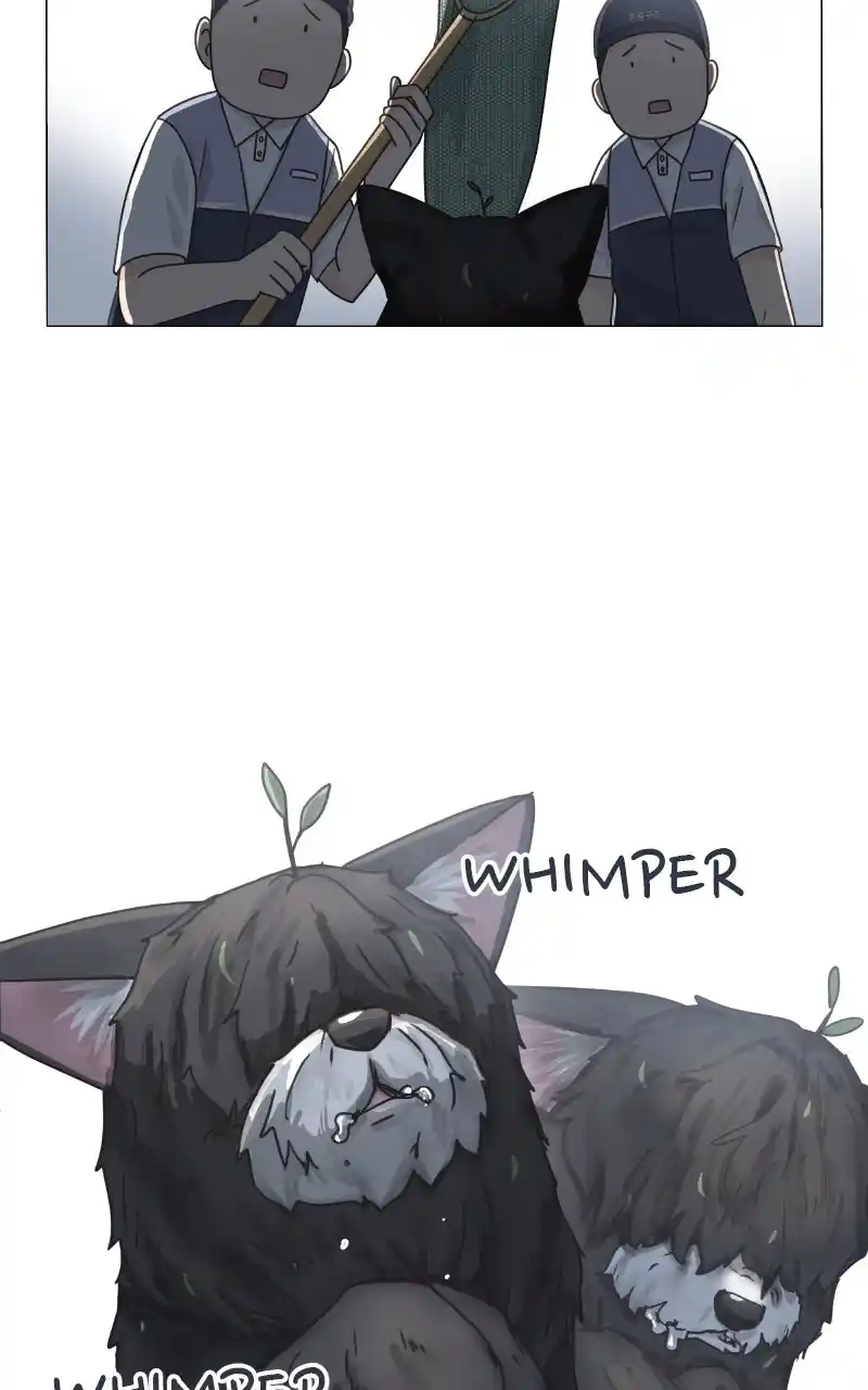 I Gave Birth to a Dog Chapter 92