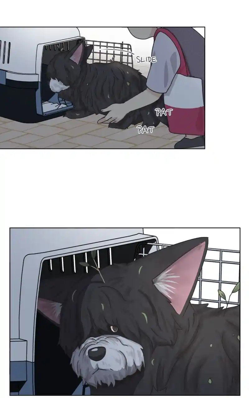 I Gave Birth to a Dog Chapter 92