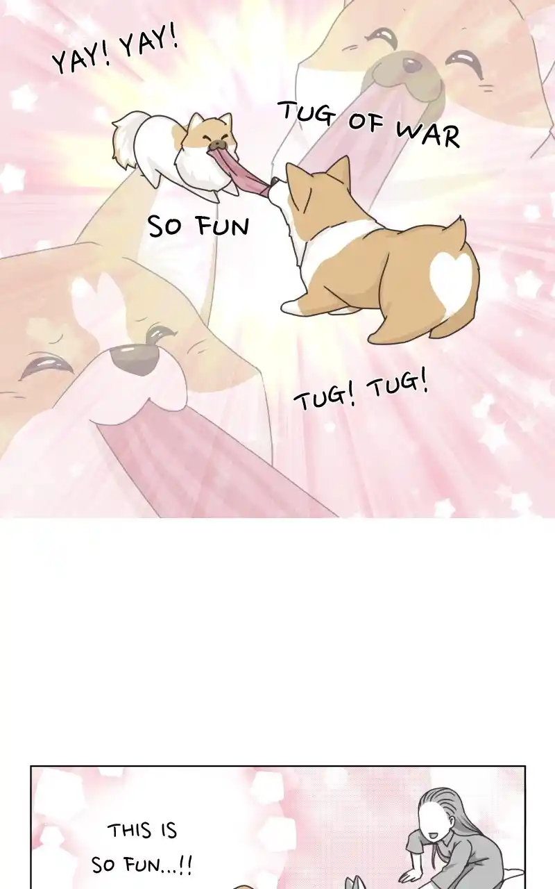 I Gave Birth to a Dog Chapter 92