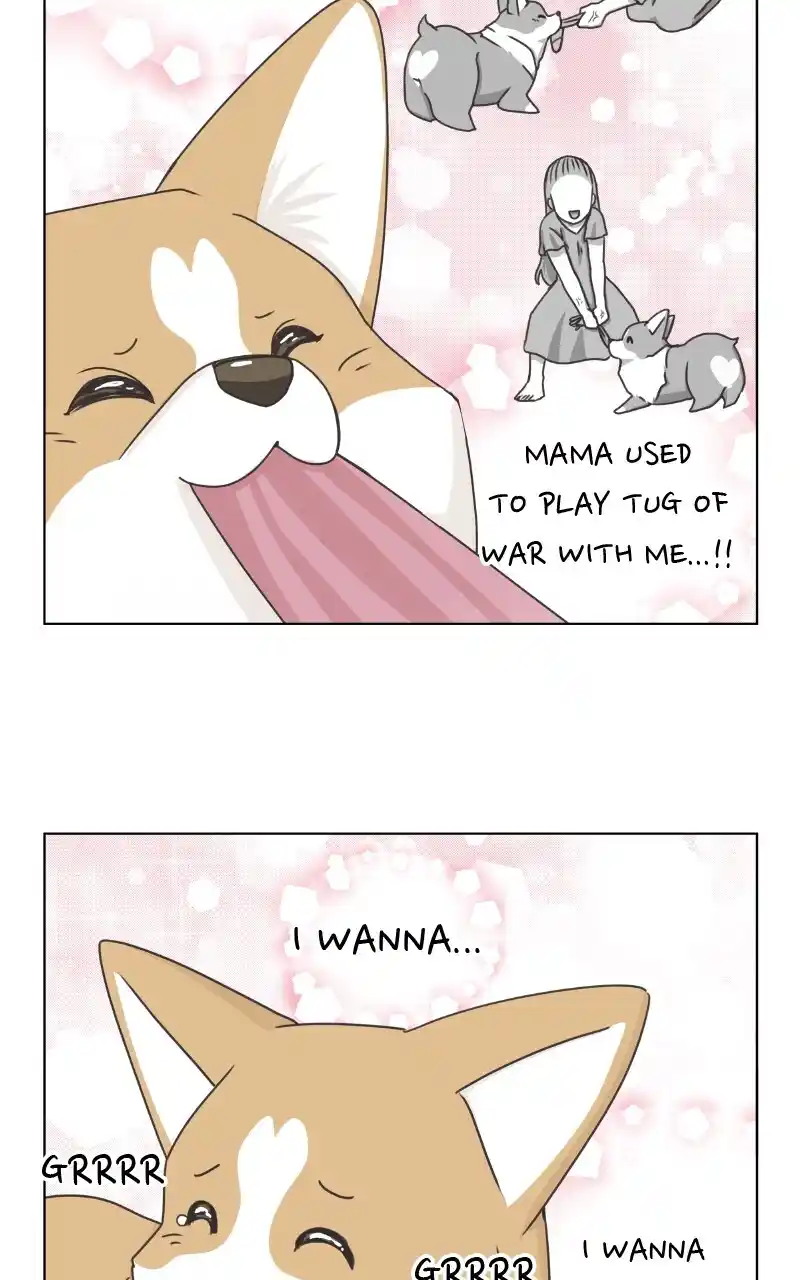 I Gave Birth to a Dog Chapter 92