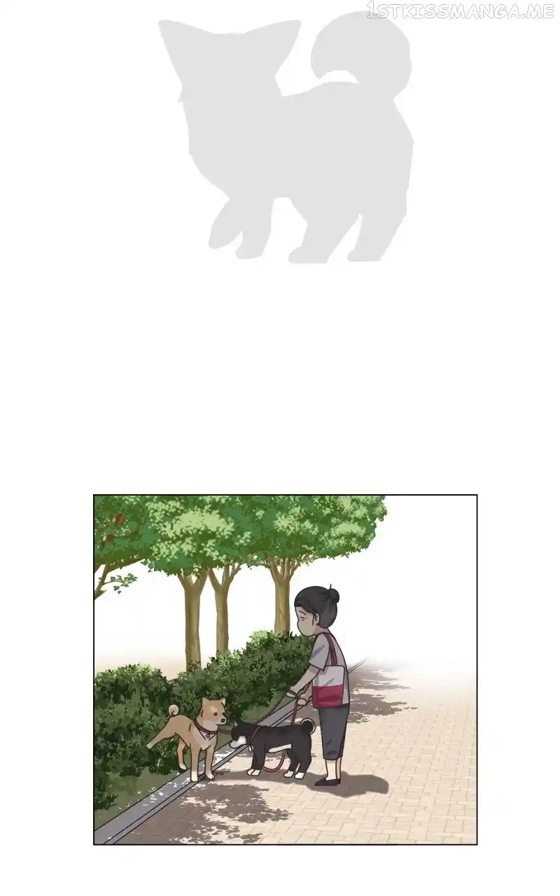 I Gave Birth to a Dog Chapter 93