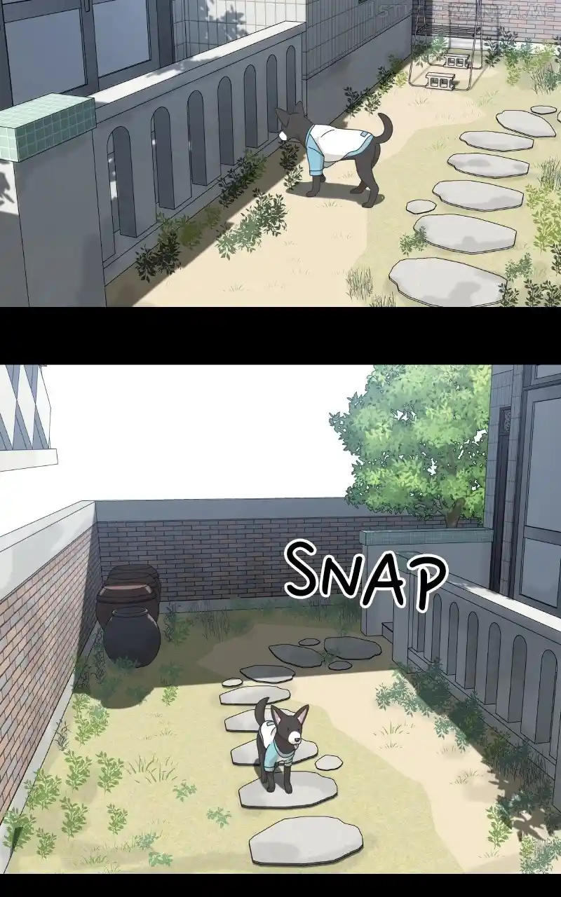 I Gave Birth to a Dog Chapter 93