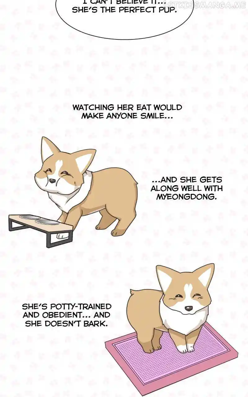 I Gave Birth to a Dog Chapter 94