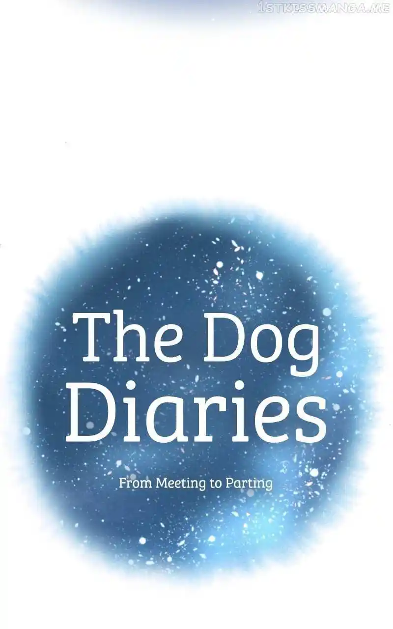 I Gave Birth to a Dog Chapter 94