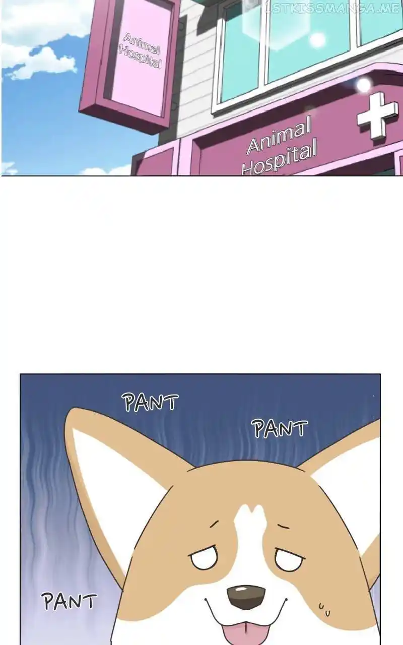 I Gave Birth to a Dog Chapter 94