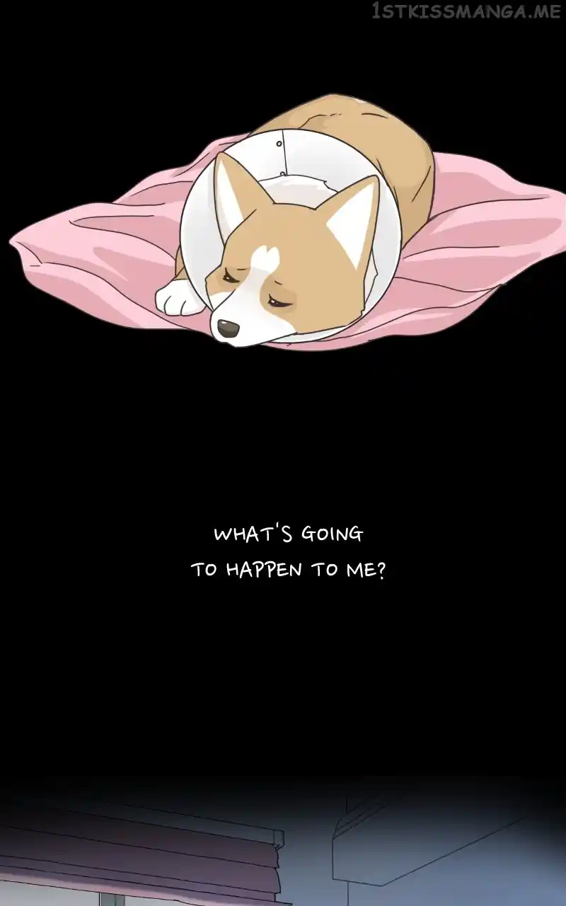 I Gave Birth to a Dog Chapter 94