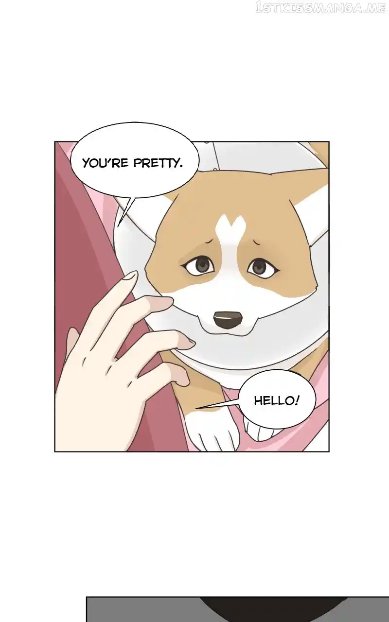 I Gave Birth to a Dog Chapter 95