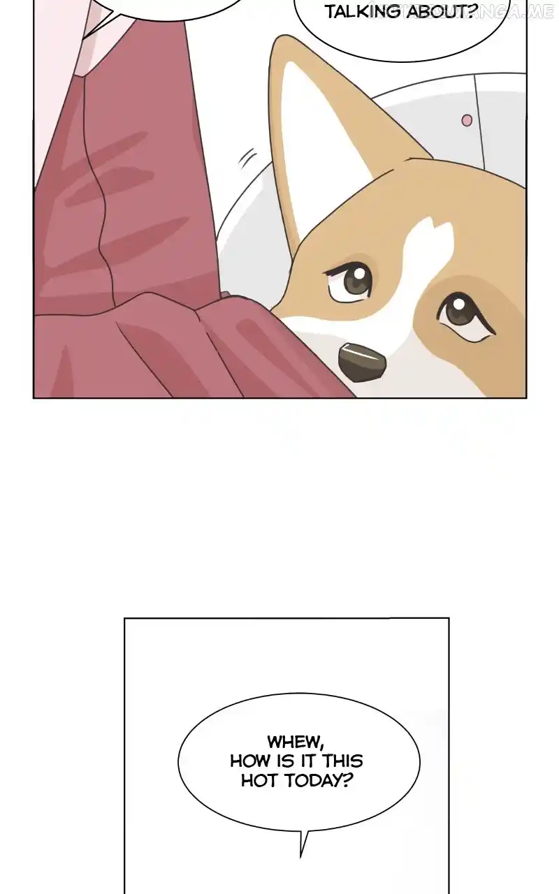 I Gave Birth to a Dog Chapter 95