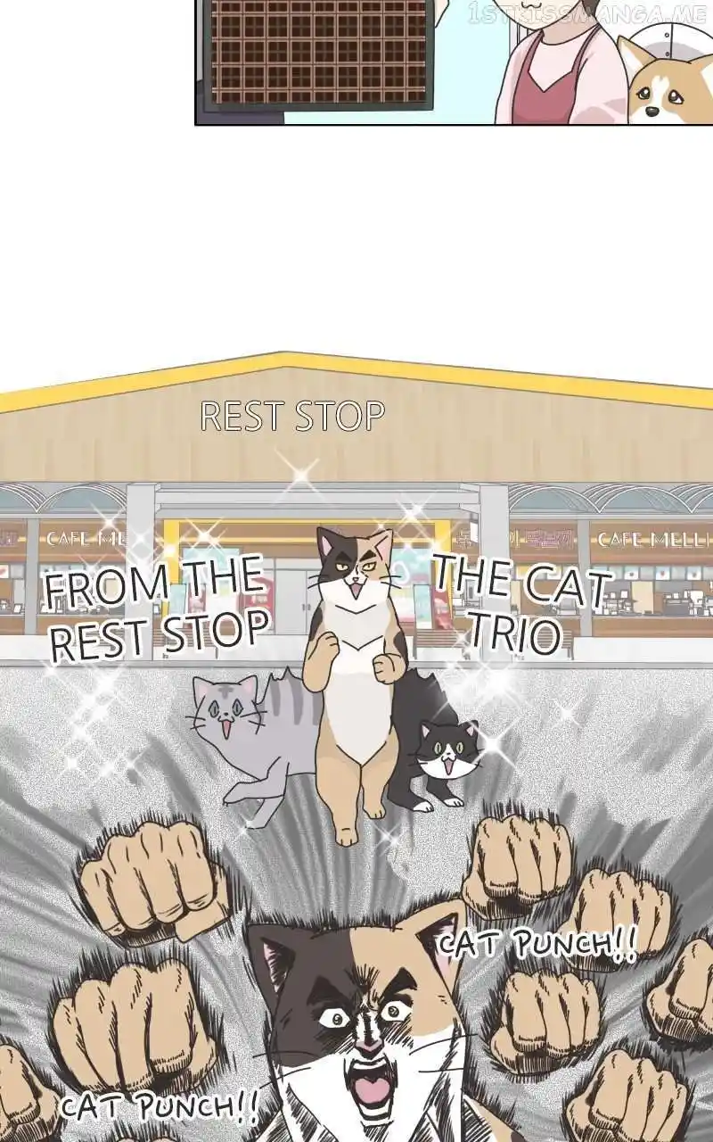 I Gave Birth to a Dog Chapter 95