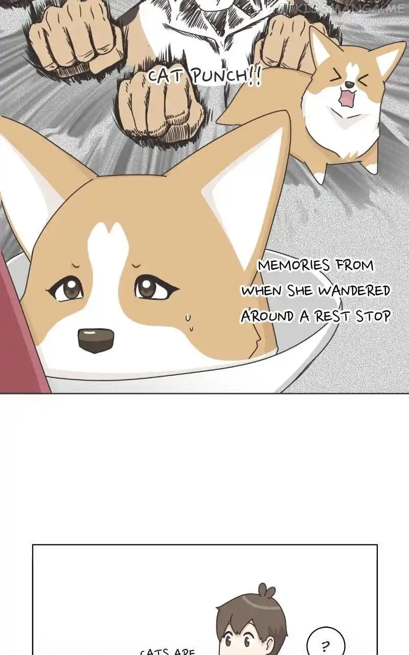 I Gave Birth to a Dog Chapter 95