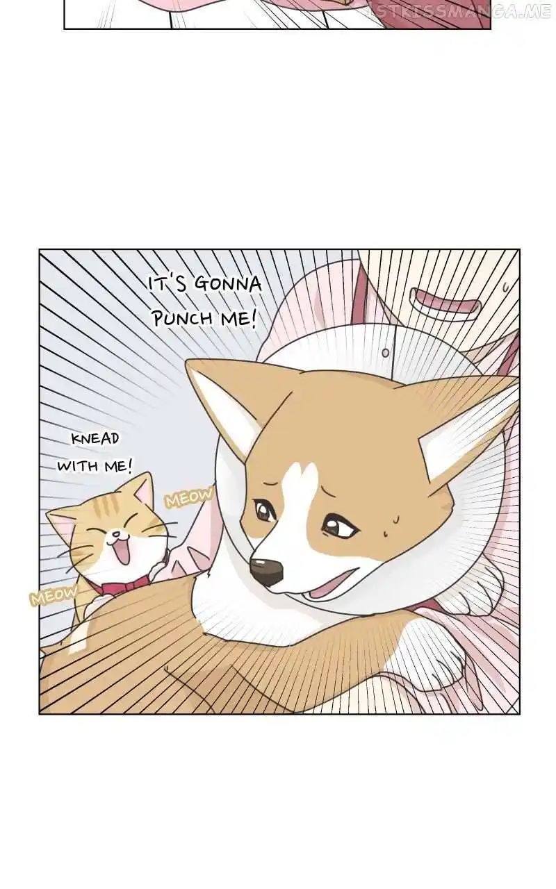 I Gave Birth to a Dog Chapter 95