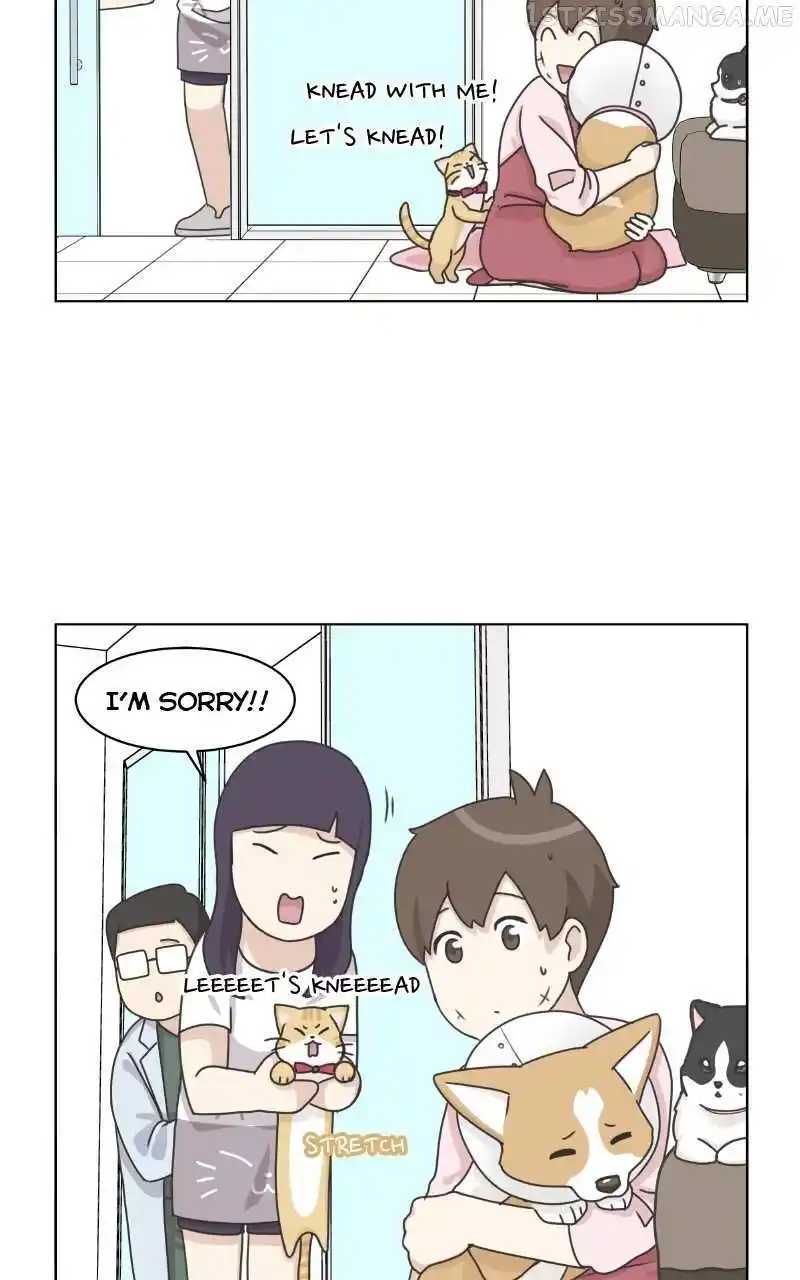 I Gave Birth to a Dog Chapter 95