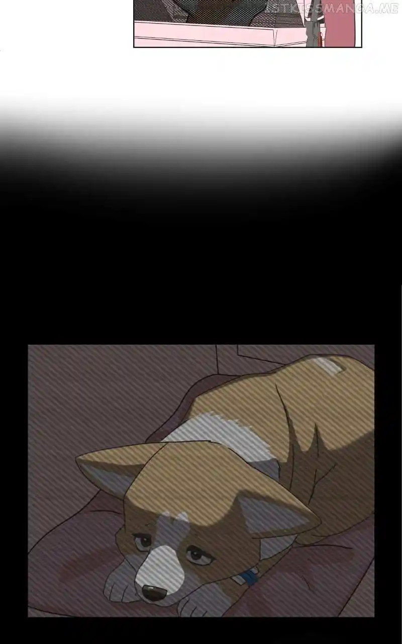 I Gave Birth to a Dog Chapter 95