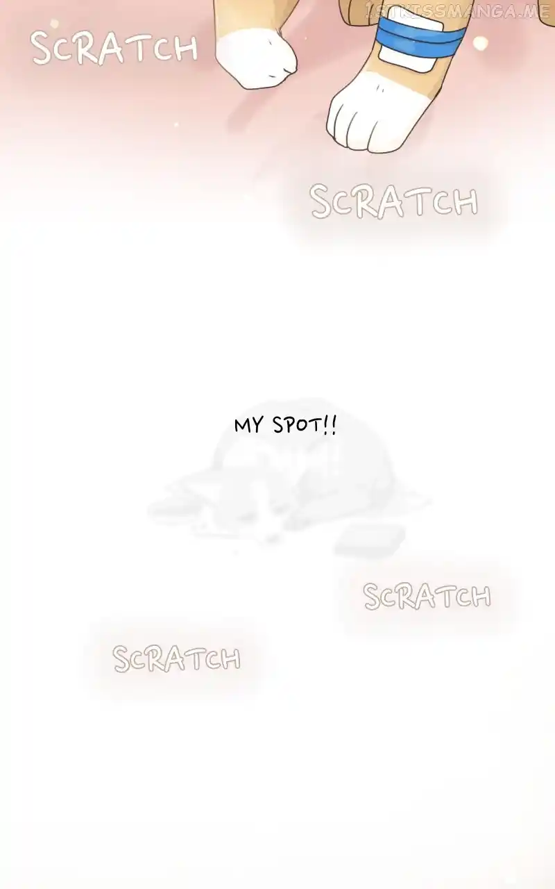 I Gave Birth to a Dog Chapter 95