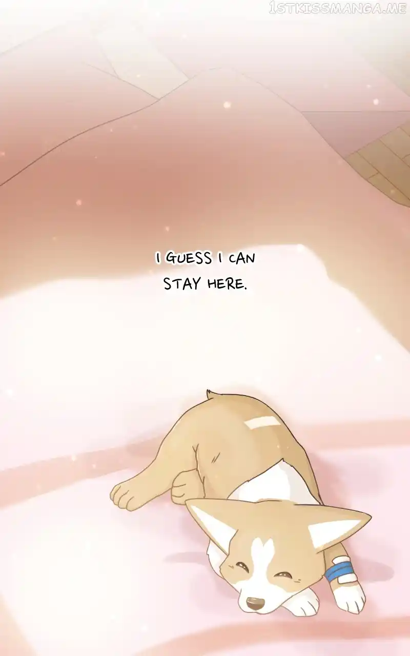 I Gave Birth to a Dog Chapter 95
