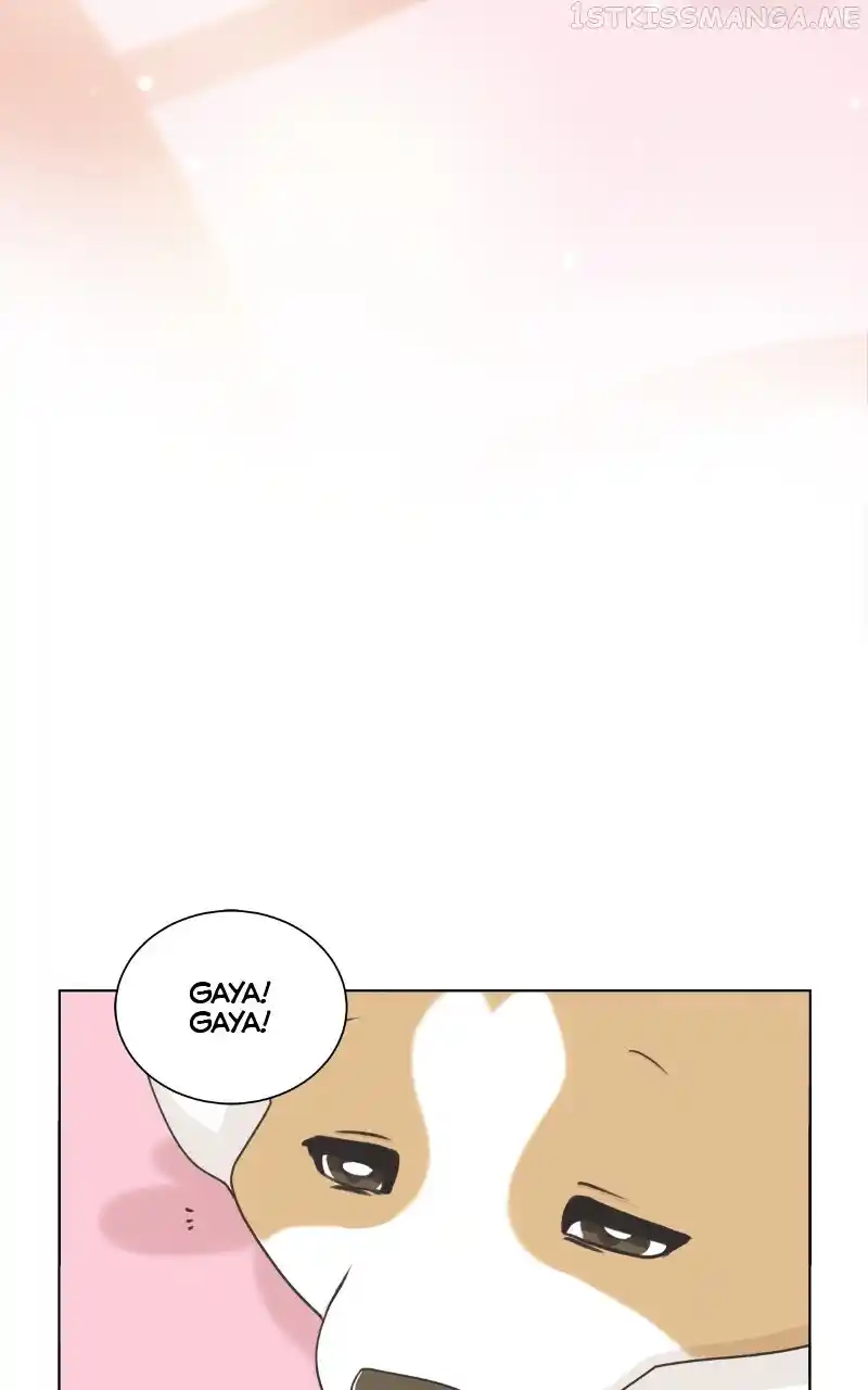 I Gave Birth to a Dog Chapter 95