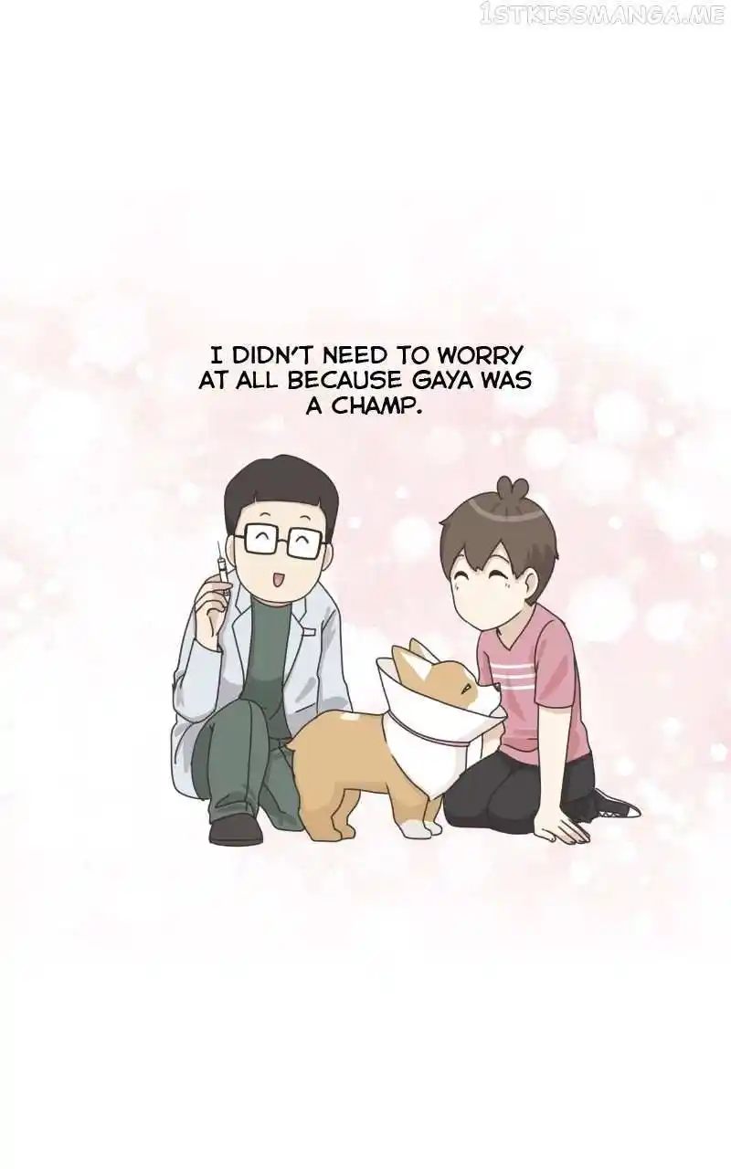 I Gave Birth to a Dog Chapter 95