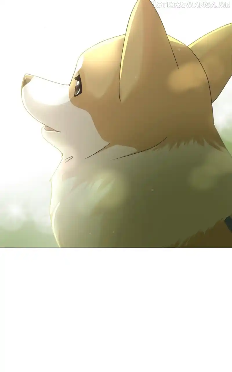 I Gave Birth to a Dog Chapter 95