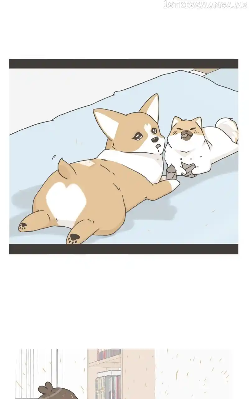 I Gave Birth to a Dog Chapter 95