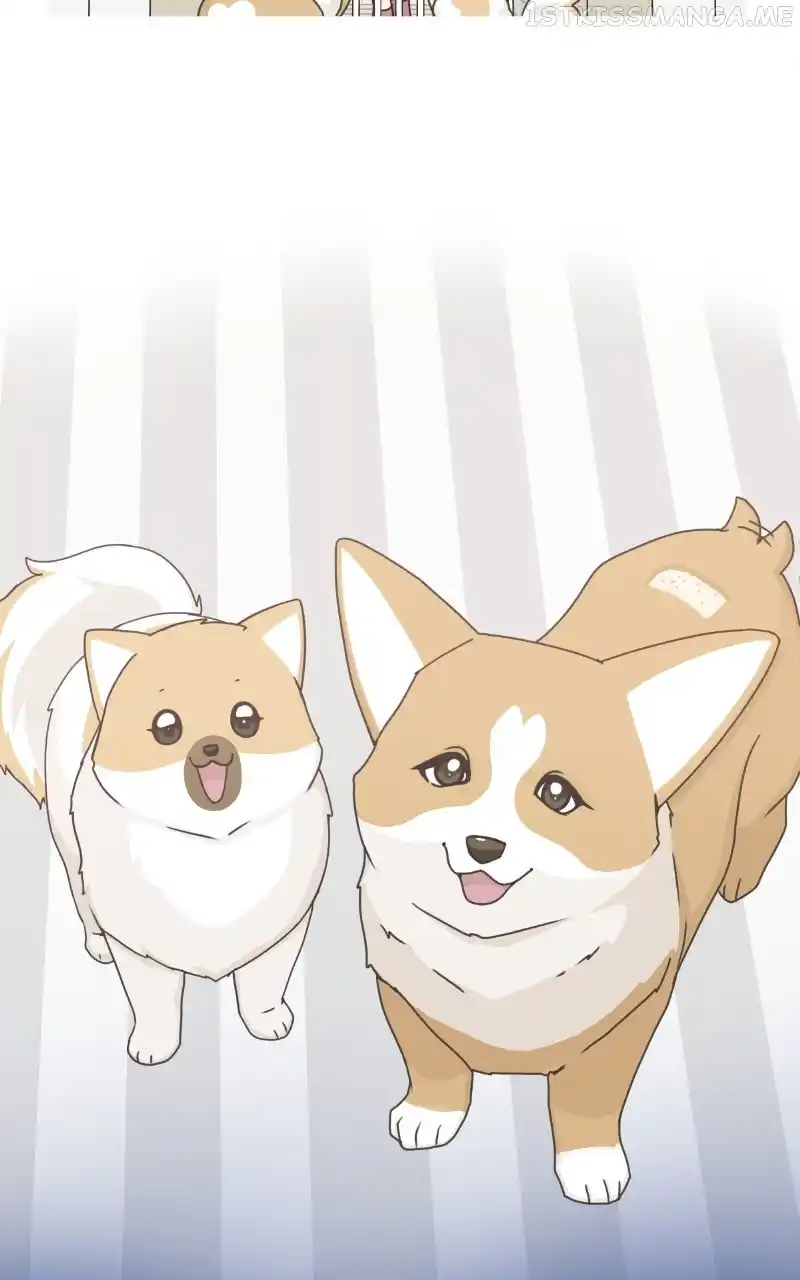 I Gave Birth to a Dog Chapter 95