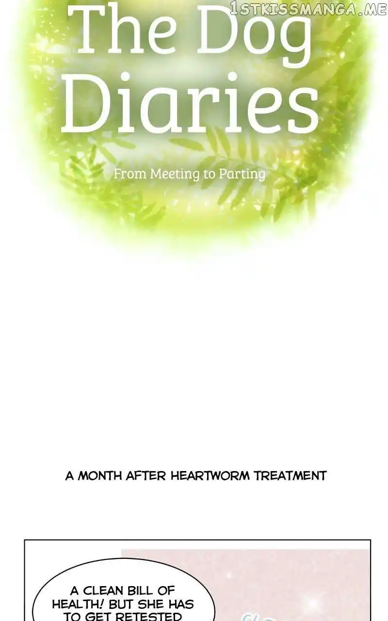 I Gave Birth to a Dog Chapter 96