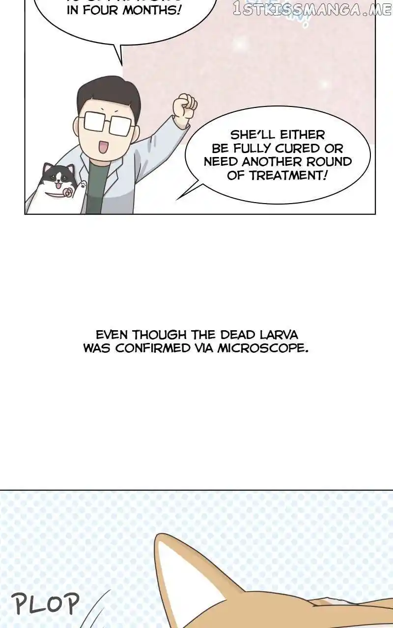 I Gave Birth to a Dog Chapter 96