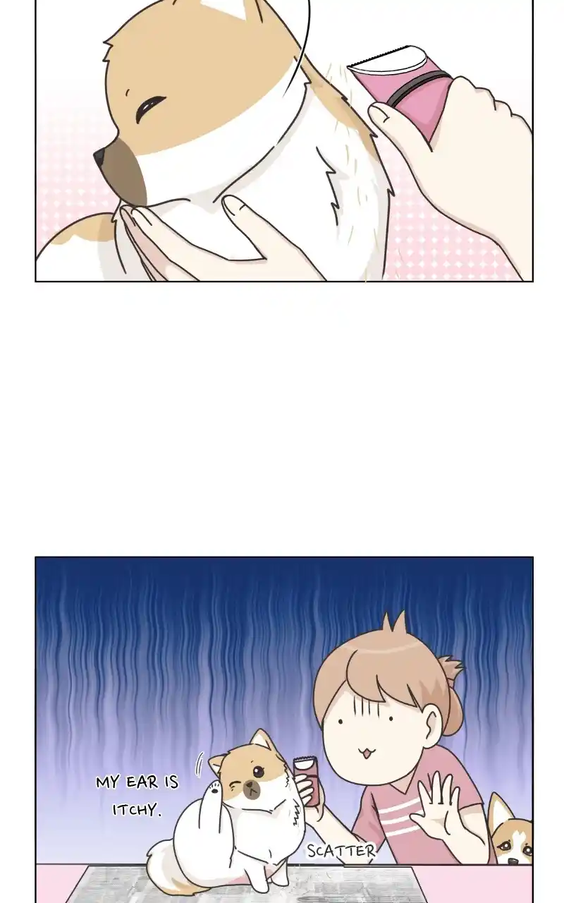 I Gave Birth to a Dog Chapter 97