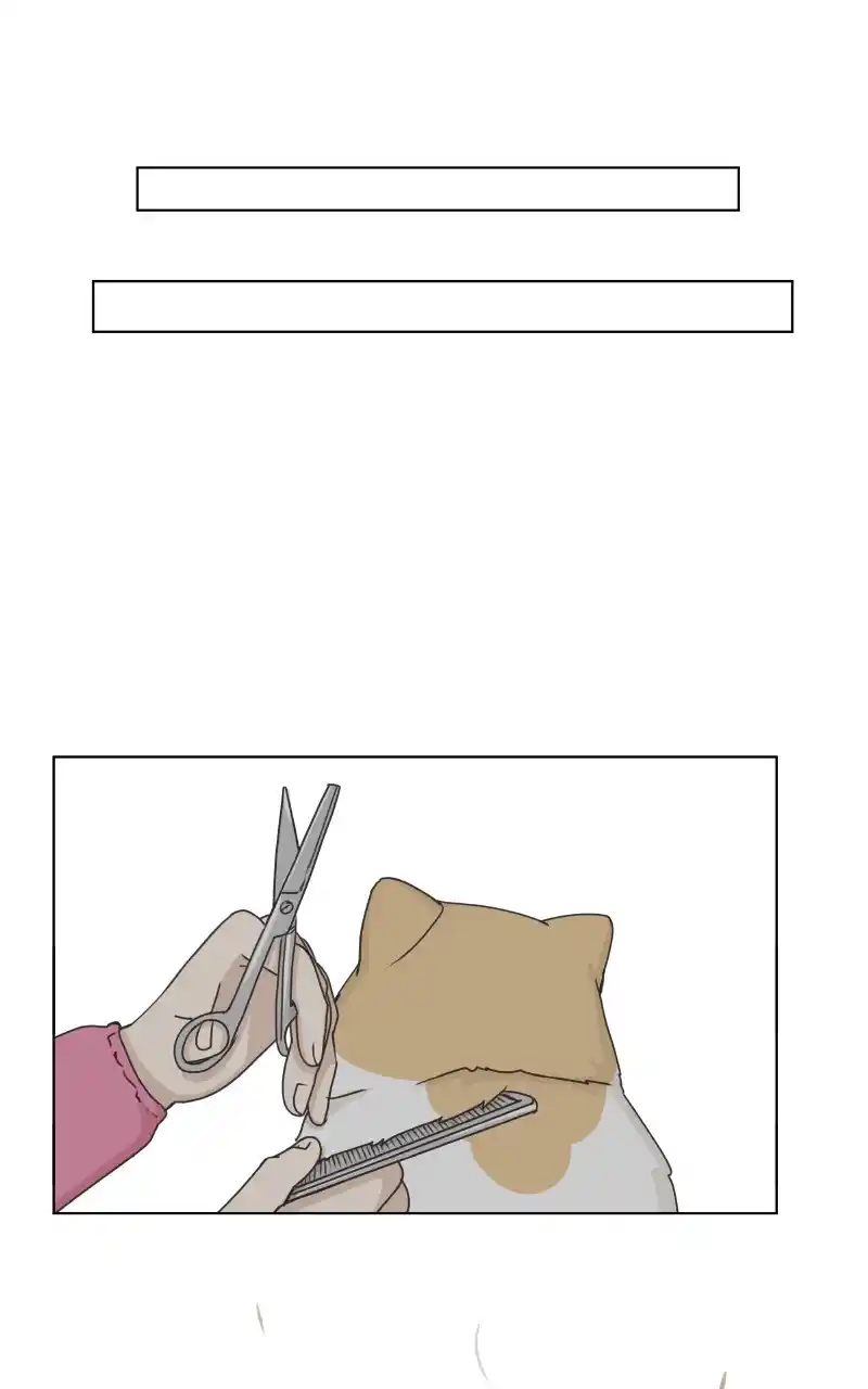 I Gave Birth to a Dog Chapter 97