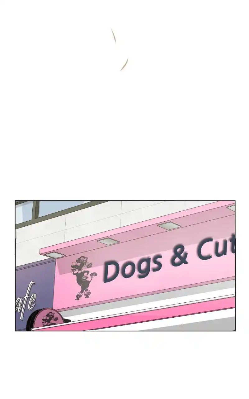I Gave Birth to a Dog Chapter 97