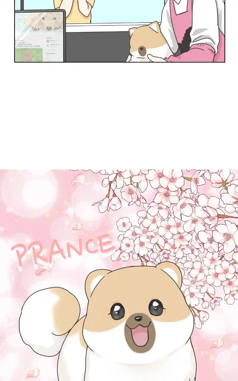 I Gave Birth to a Dog Chapter 97