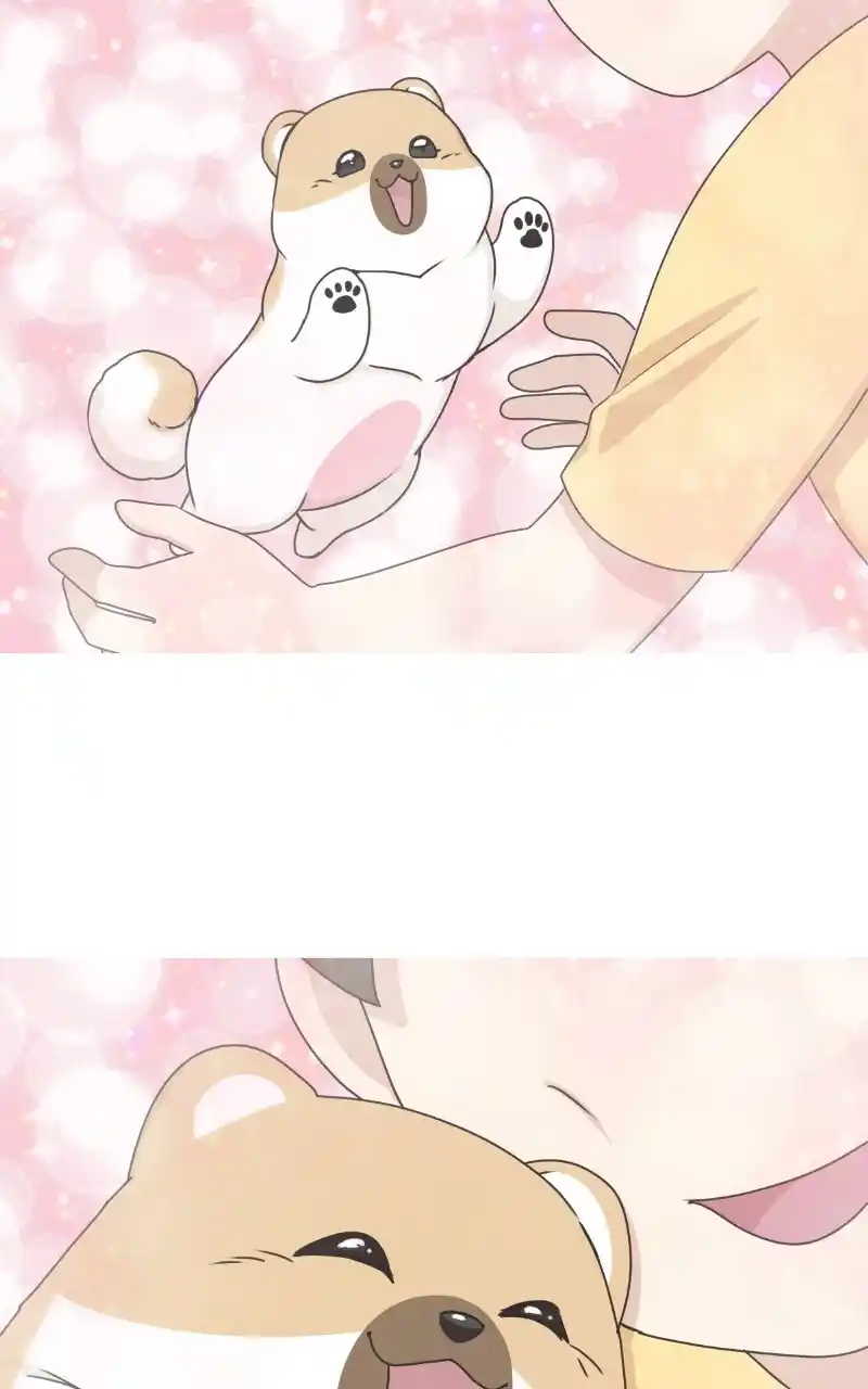 I Gave Birth to a Dog Chapter 97