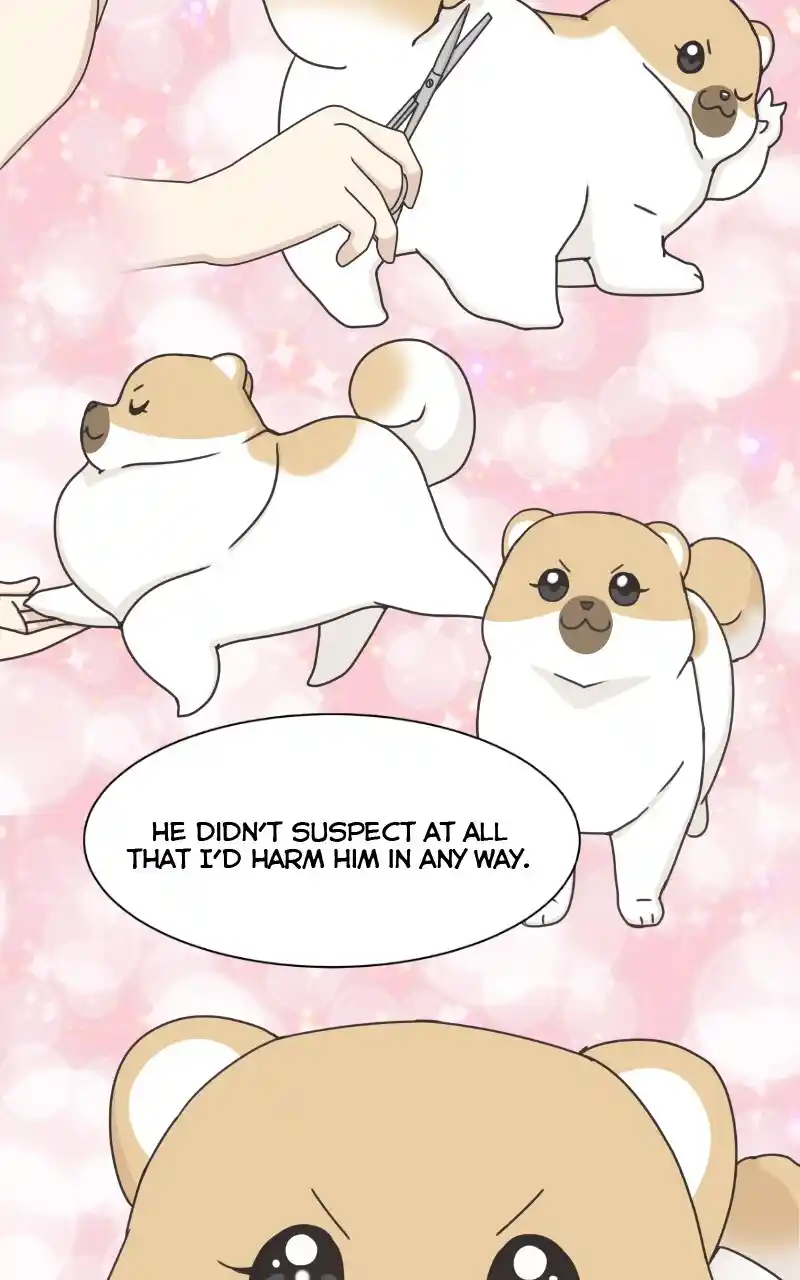 I Gave Birth to a Dog Chapter 97