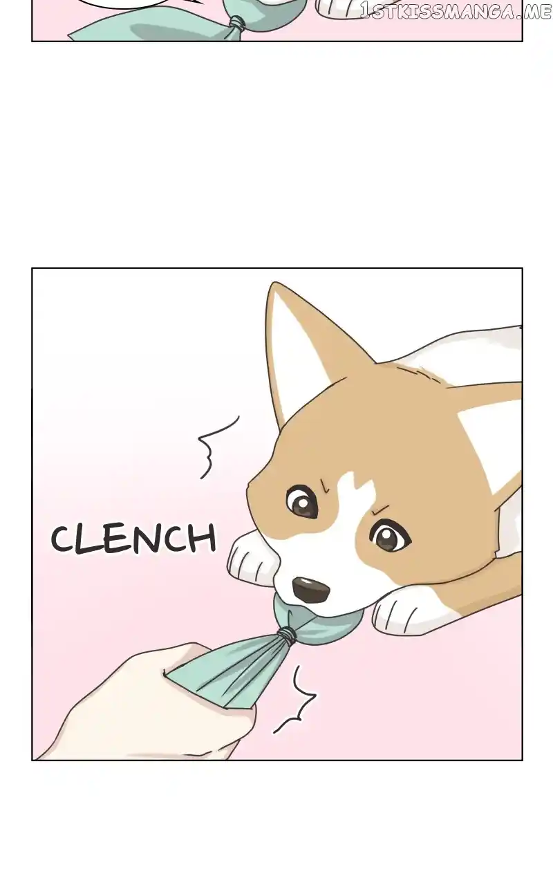 I Gave Birth to a Dog Chapter 98