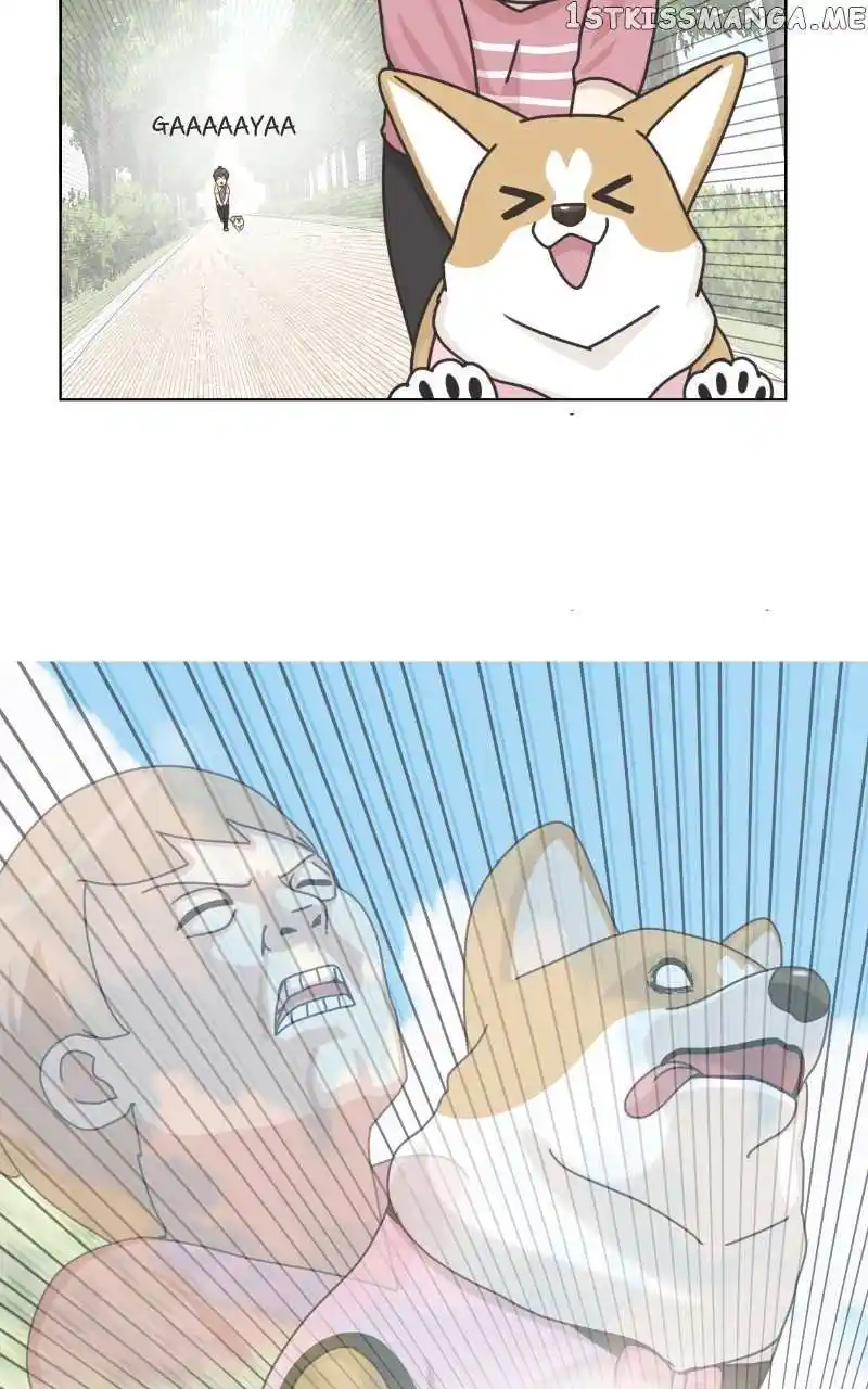 I Gave Birth to a Dog Chapter 99