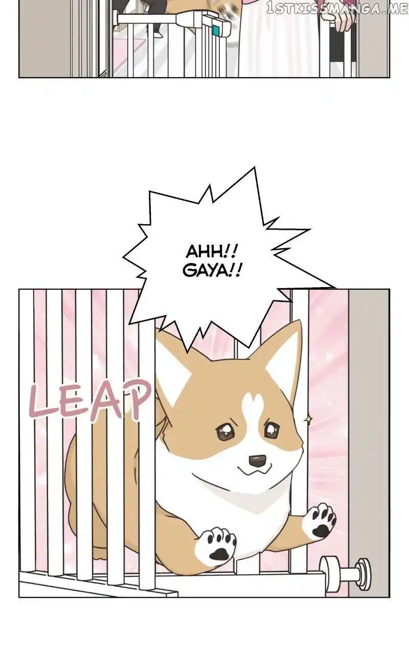 I Gave Birth to a Dog Chapter 99
