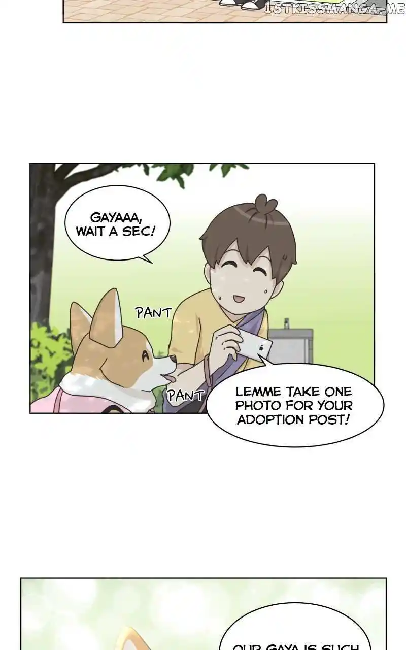 I Gave Birth to a Dog Chapter 99