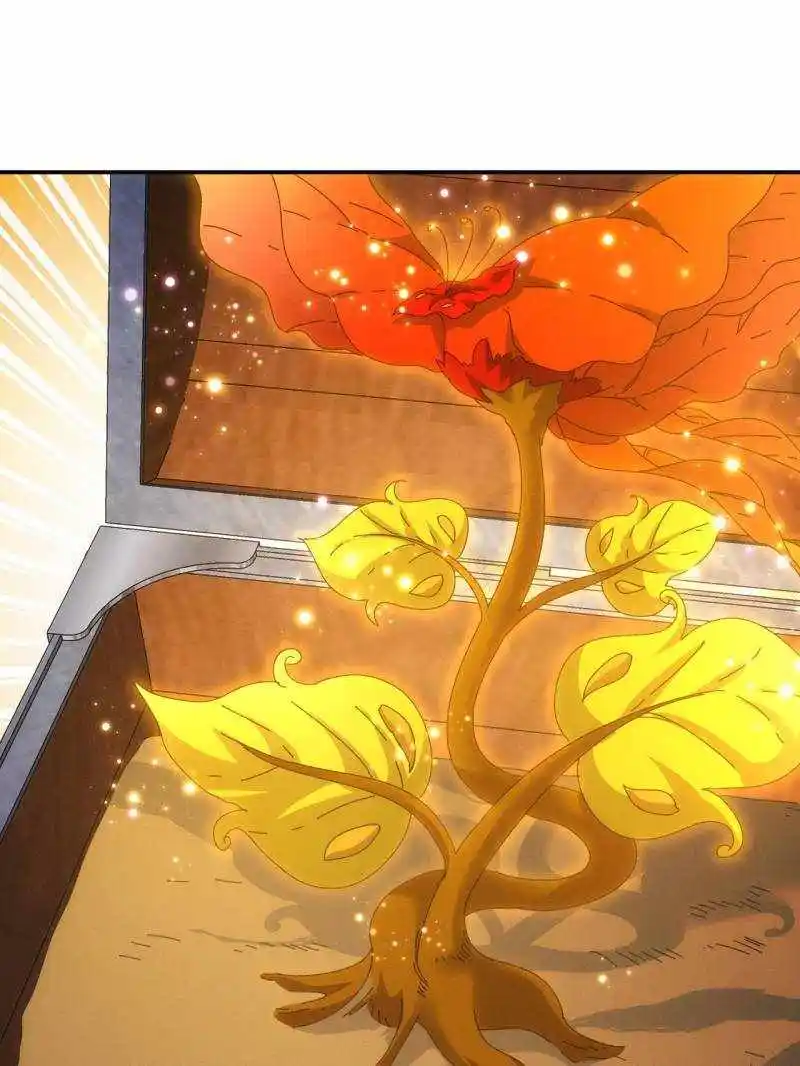 I just Don't Play the Card according to the routine Chapter 200