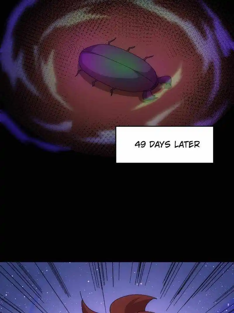 I just Don't Play the Card according to the routine Chapter 207