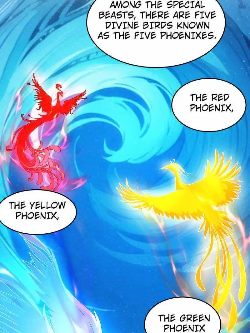 I just Don't Play the Card according to the routine Chapter 209