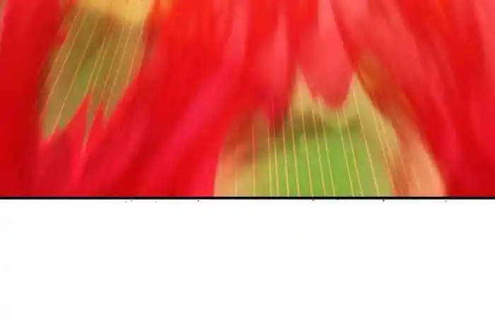 I just Don't Play the Card according to the routine Chapter 213