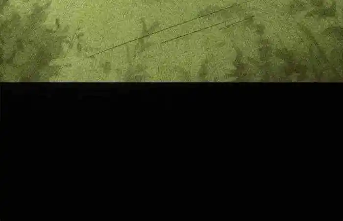 I just Don't Play the Card according to the routine Chapter 230