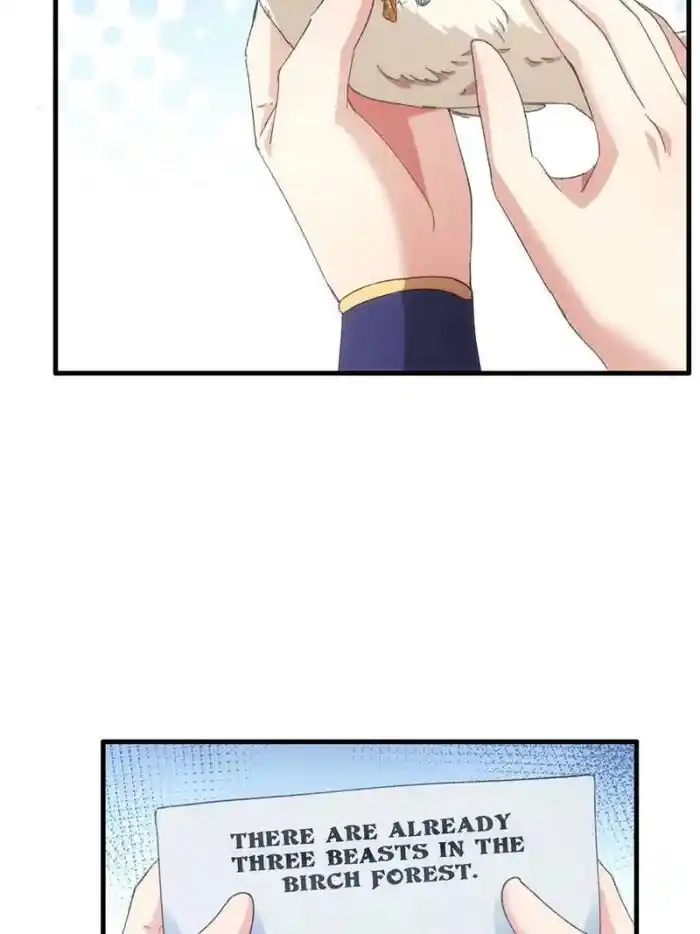 I just Don't Play the Card according to the routine Chapter 40