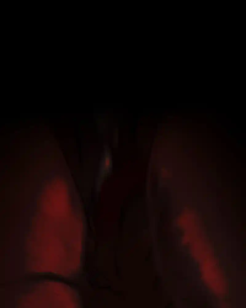 I Love Yoo Chapter 244